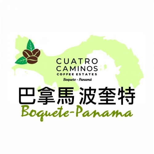 巴拿馬波奎特水洗豆