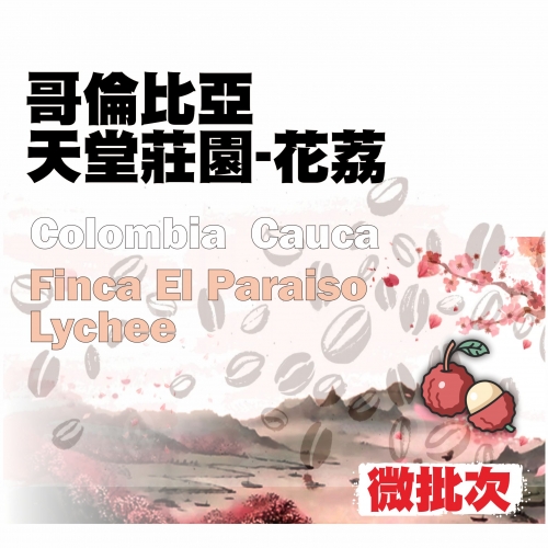 哥倫比亞 天堂莊園-