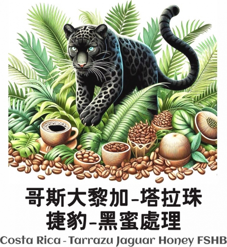 哥斯大黎加 塔拉珠-